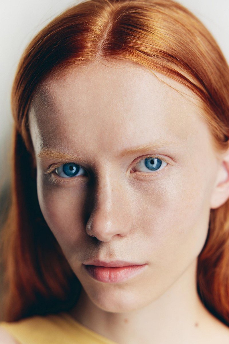 duck engineer tweet media