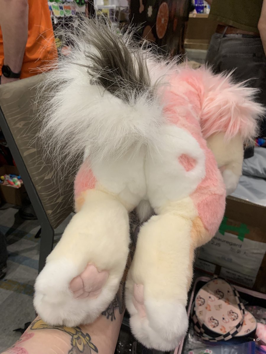 𝔅𝔞𝔪𝔟𝔦 ⛓🔜 FE tweet media