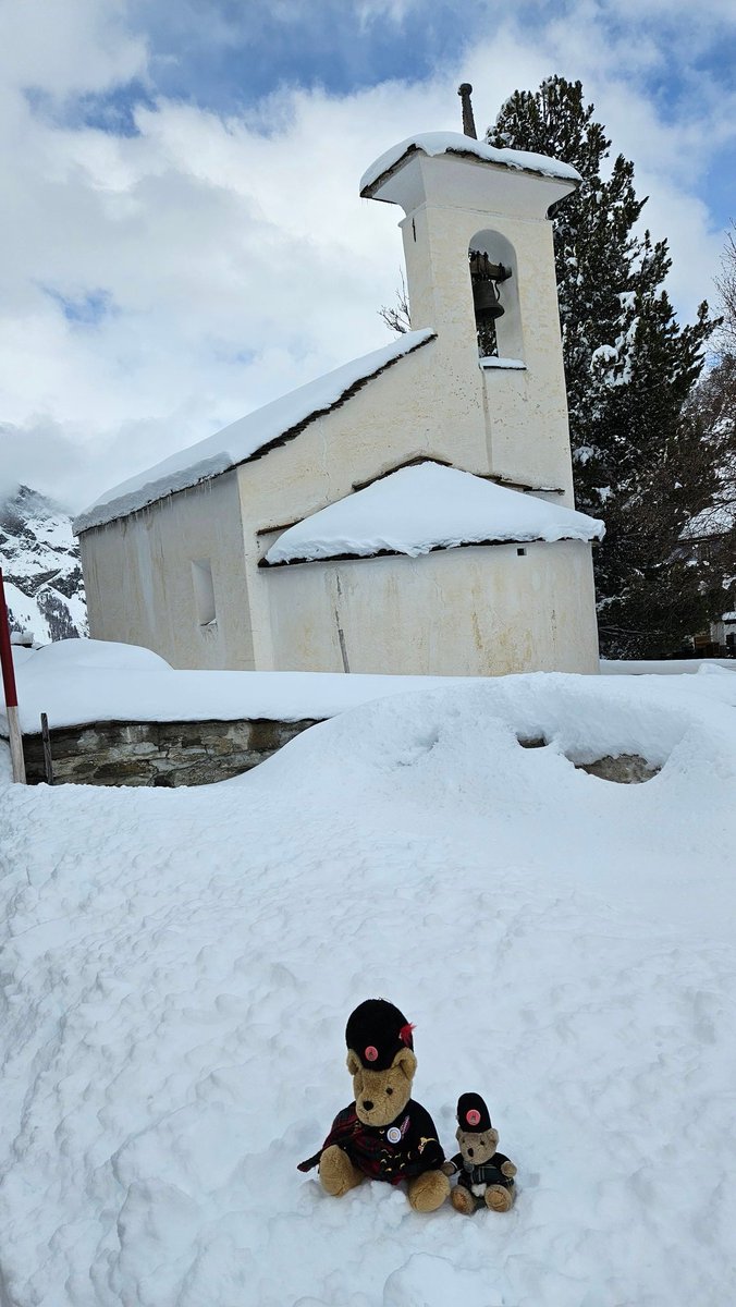 Swiss Piper Bears tweet media