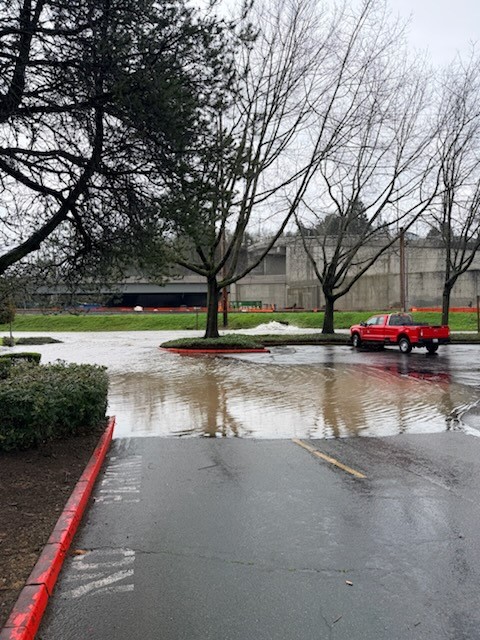 Renton Police Dept. tweet media