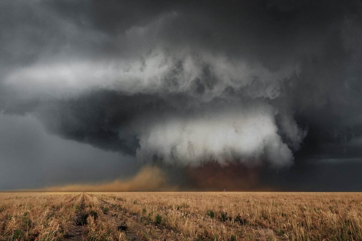 Lauren Baca 🌪️ Storm Photographer tweet media