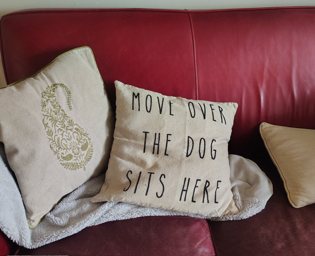 Whale Psychiatrist ™️ tweet media