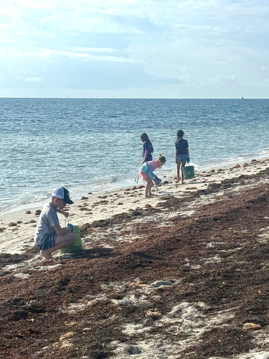 True North Classical Academy tweet media