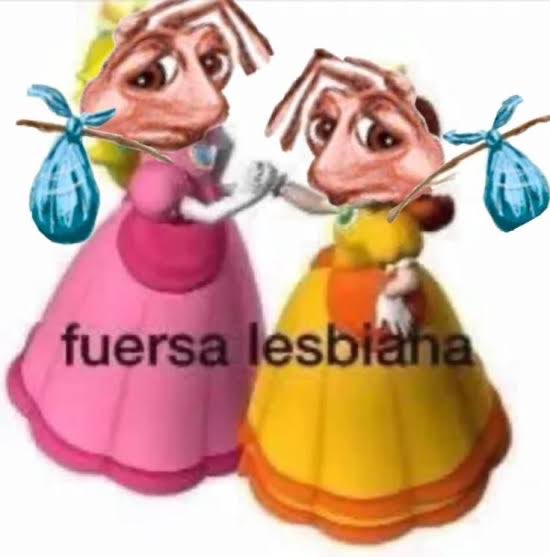 ferchaa³ tweet media