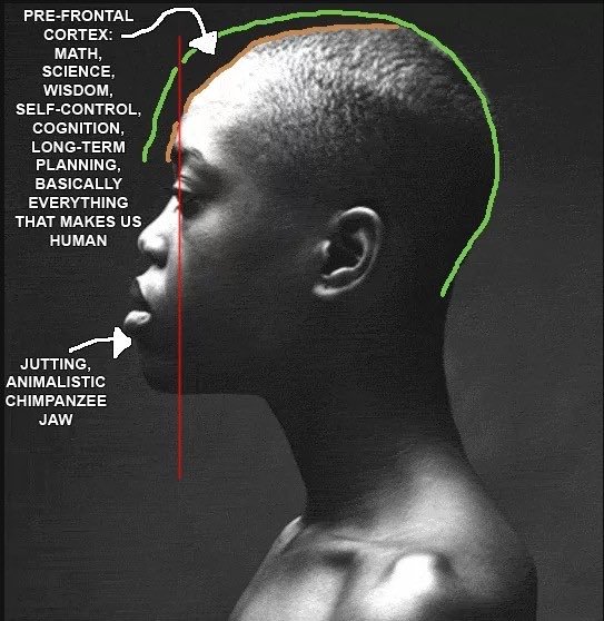 Filthy Peasant tweet media