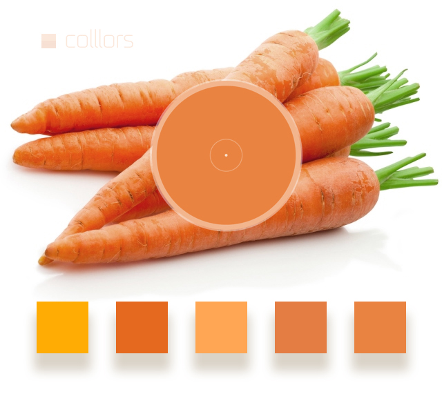 Carla B™ 🍉 tweet media