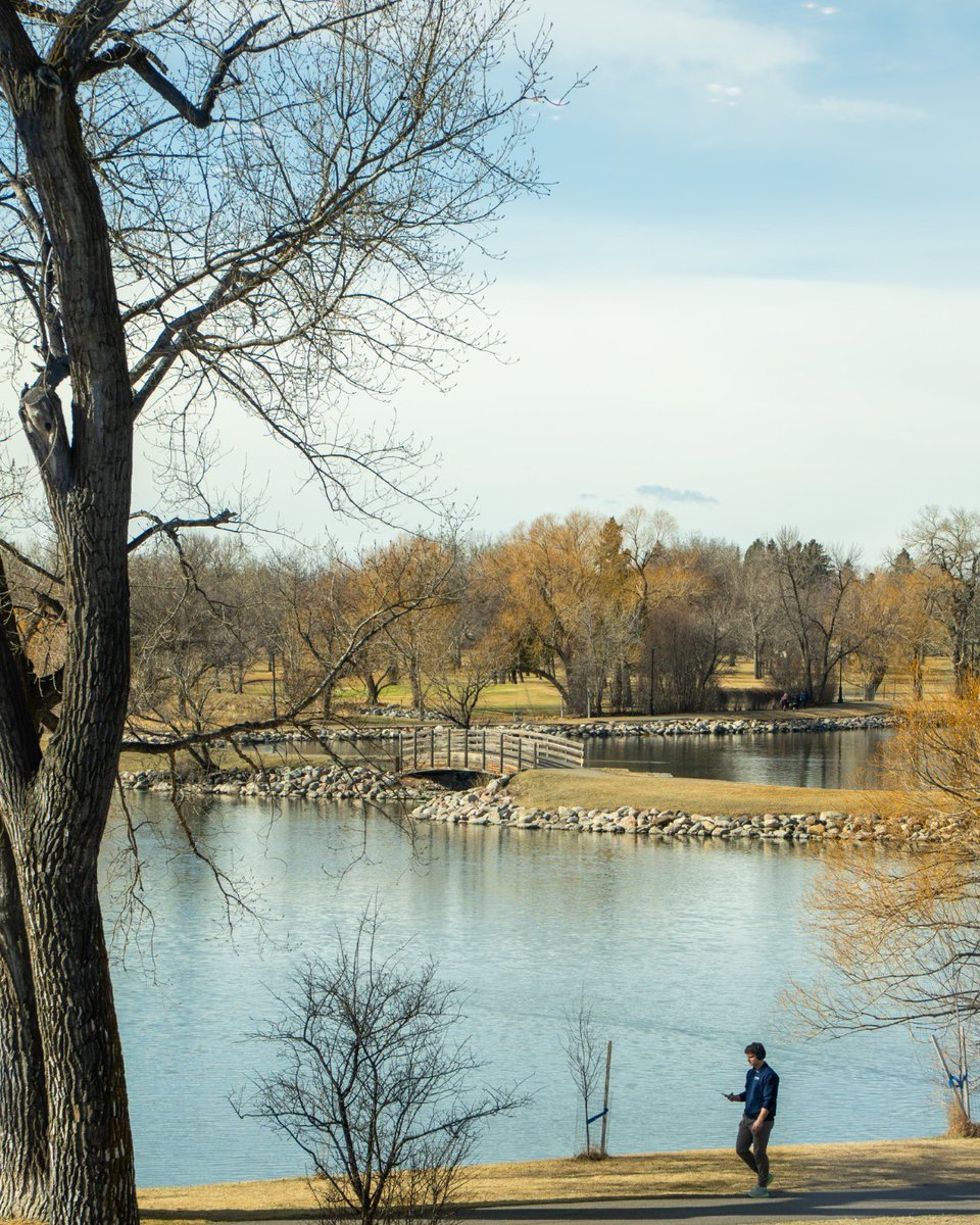 Excite Lethbridge tweet media