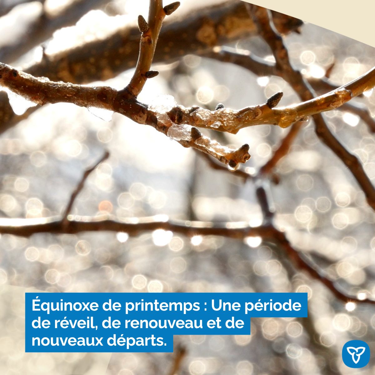 Affaires autochtones et Réconciliation économique tweet media