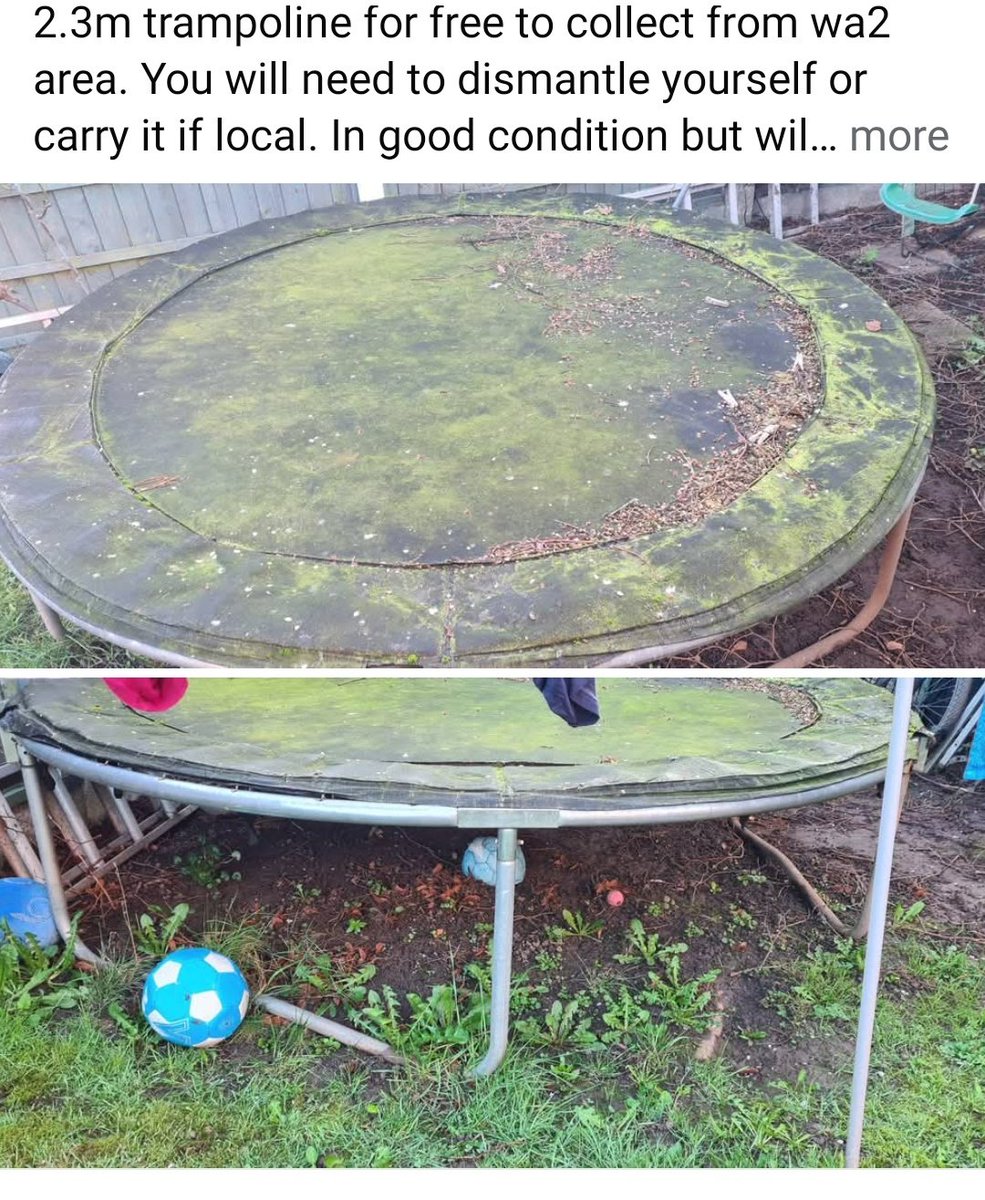 The Eggman tweet media