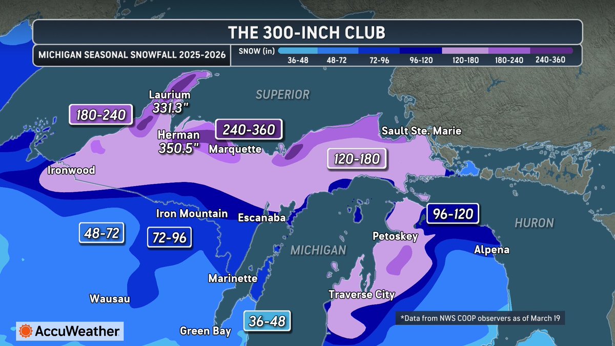 Jesse Ferrell tweet media