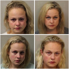 Max 📟 tweet media