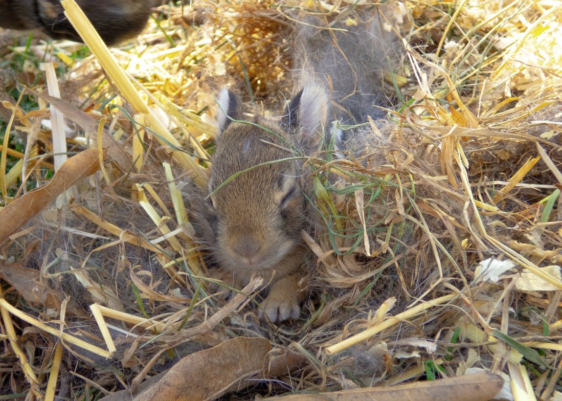 -&C. Communiqué 🇺🇸 tweet media