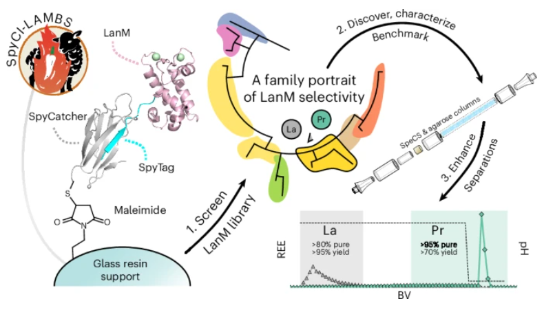 Nature Chemical Biology tweet media
