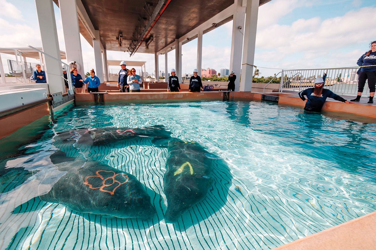 Florida Trend tweet media