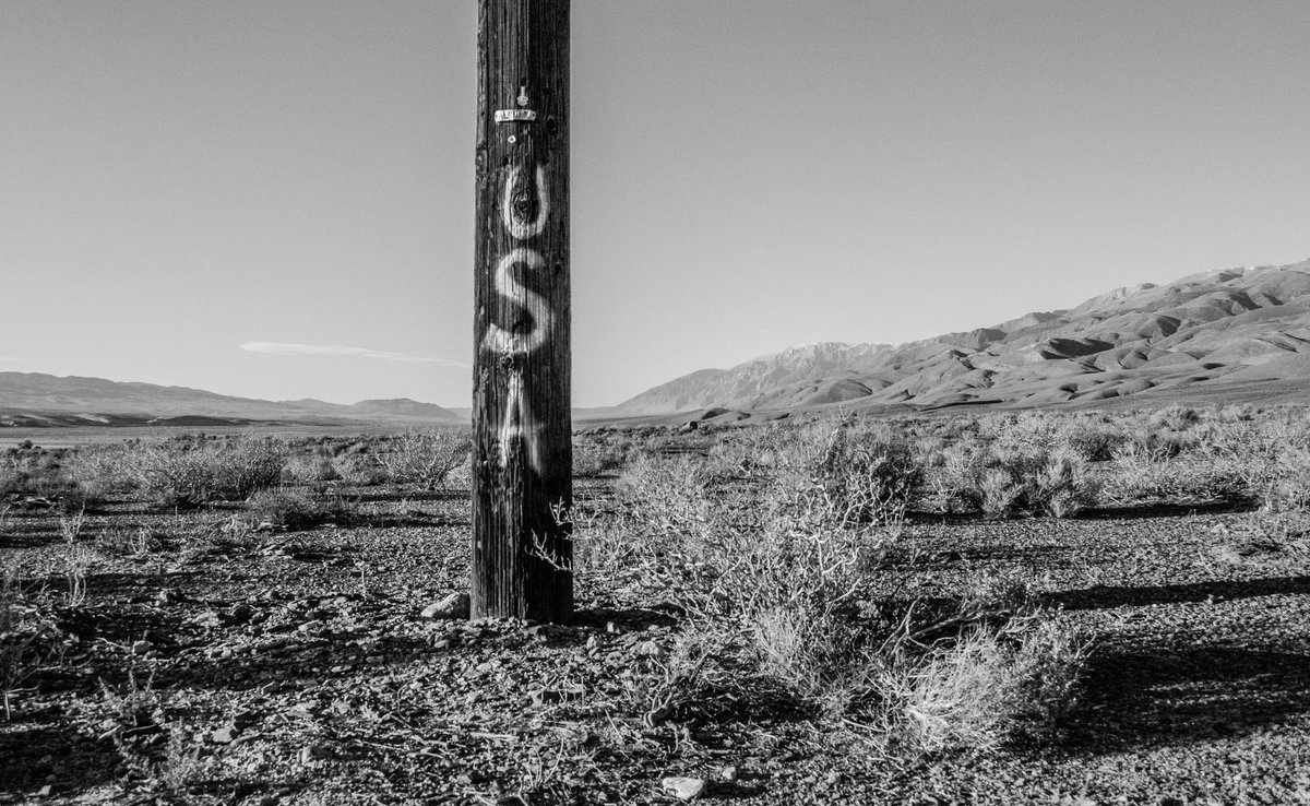 Al White tweet media