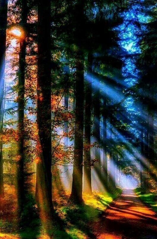 Earth pictures 🌍🌎🌏 tweet media