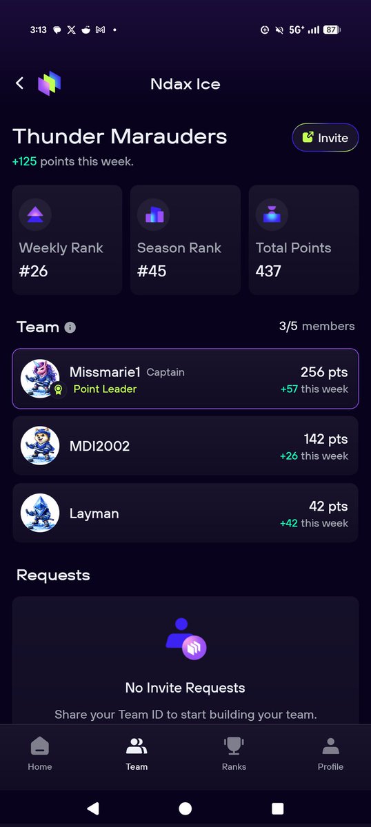 Paige Havell tweet media