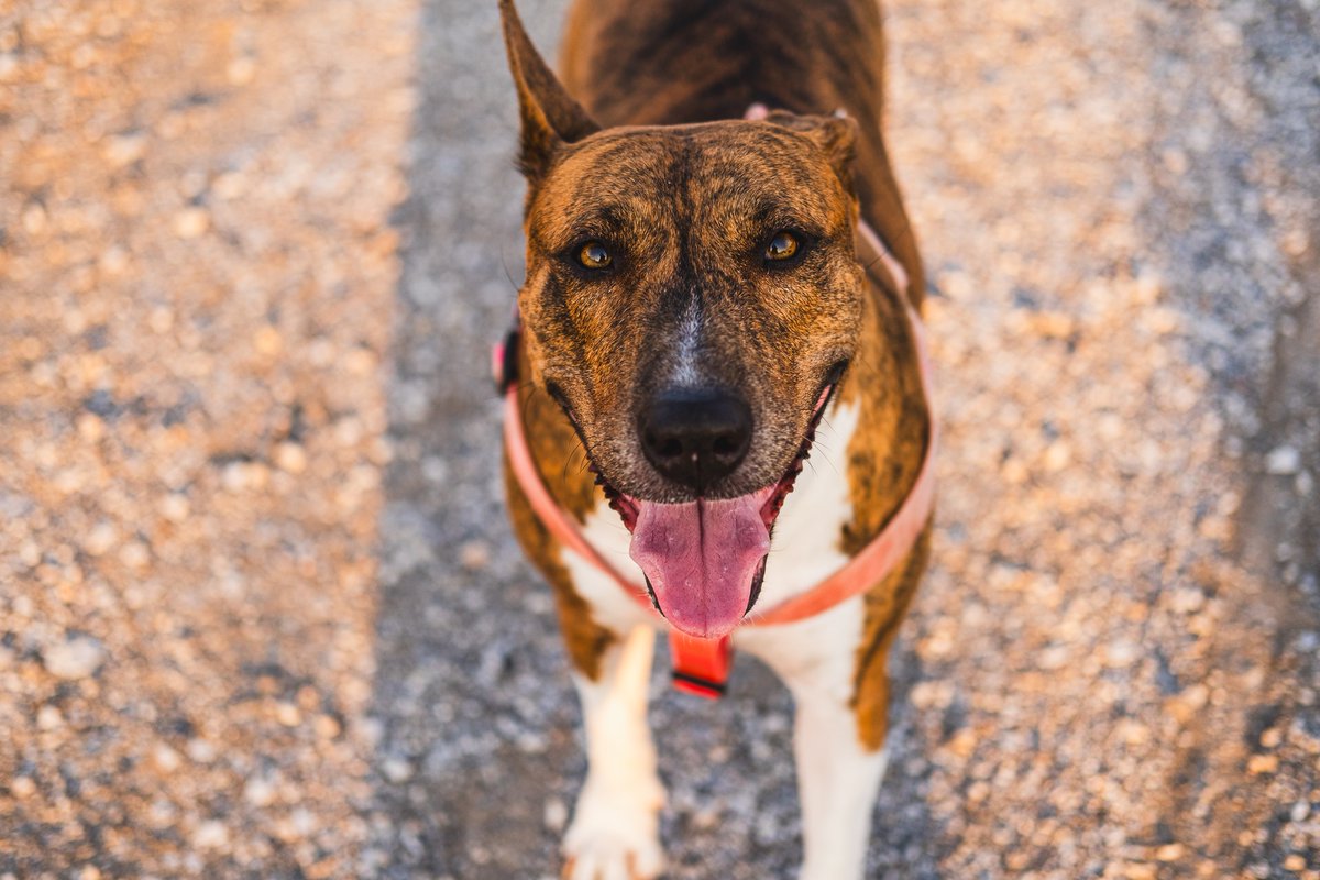 Miltiadis Benakis tweet media