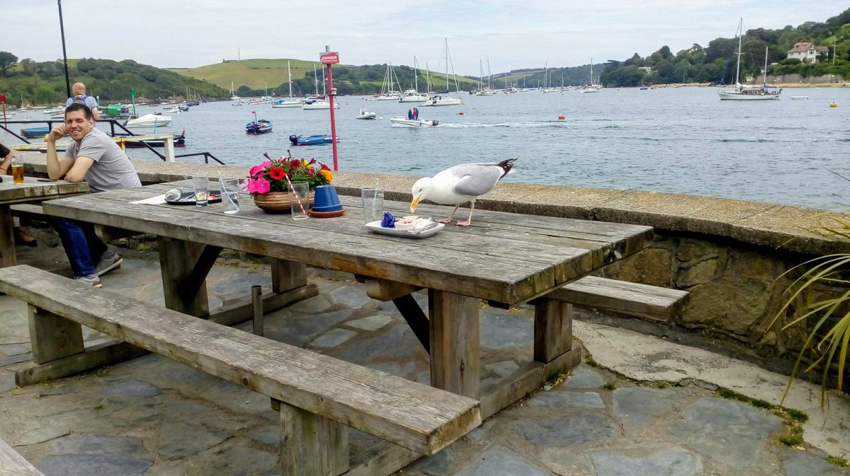 Sandy Tregent tweet media