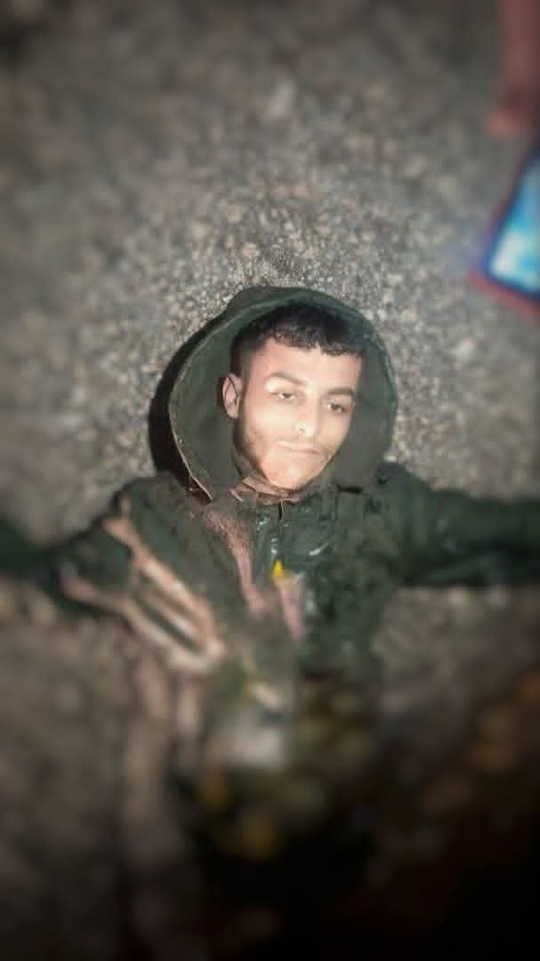 Rojava Network tweet media