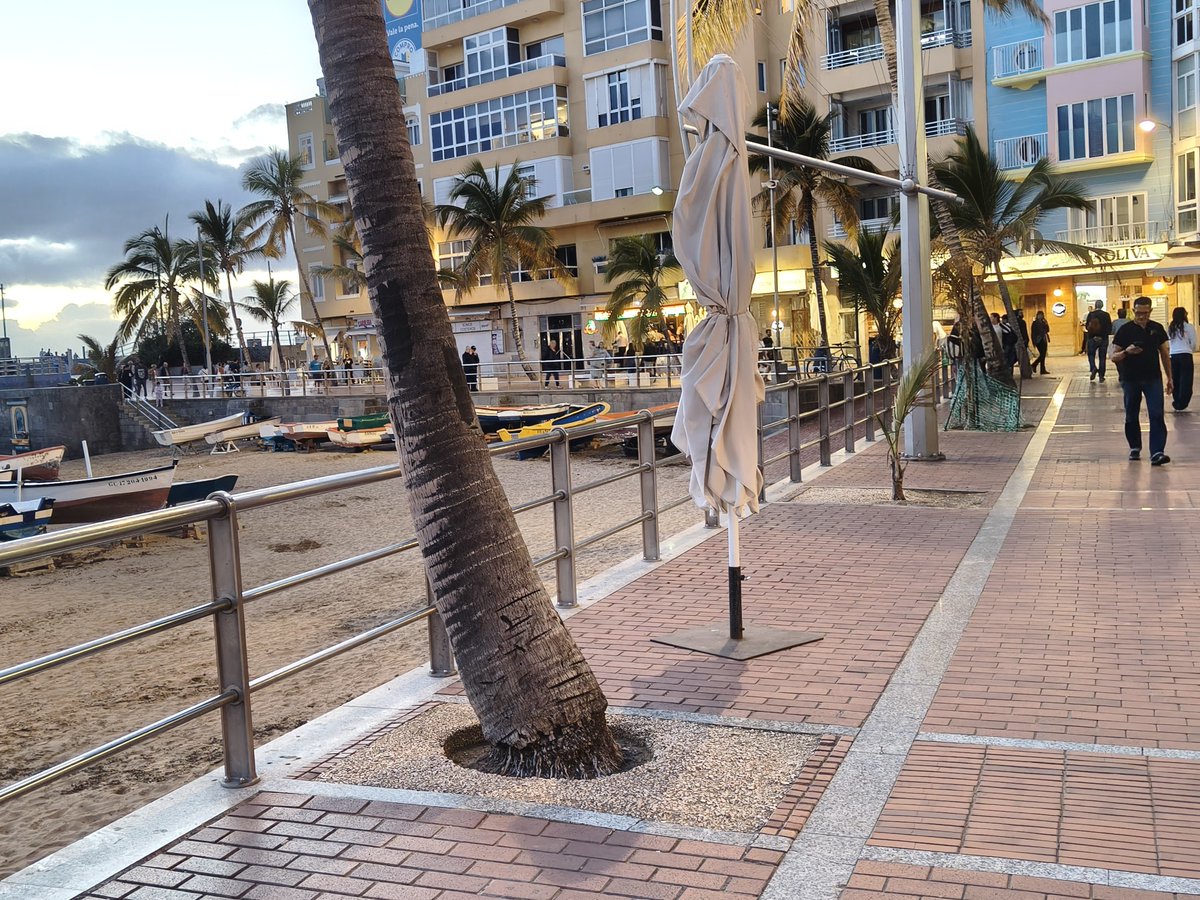 Mi playa de Las Canteras 🏊🏻♀️🦈 tweet media