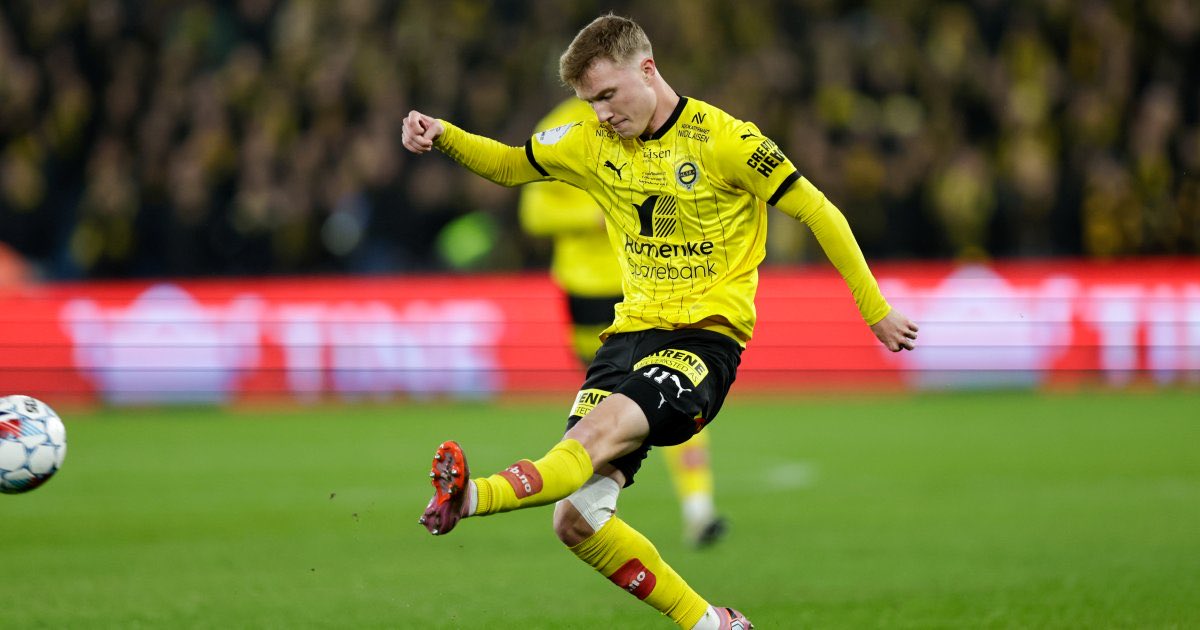 Concept Scouting tweet media