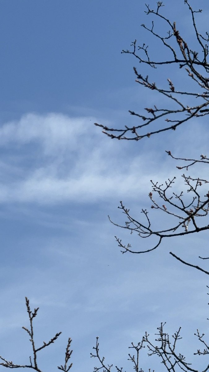 Paul J. von Hartmann tweet media