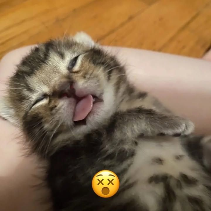 𝐁𝐞𝐧𝐲🤍 tweet media