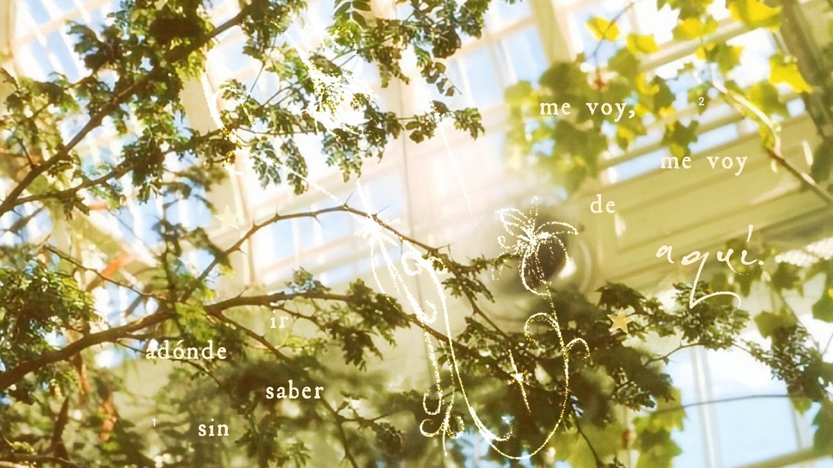 𝜗 𓋇 ৎ, tweet media