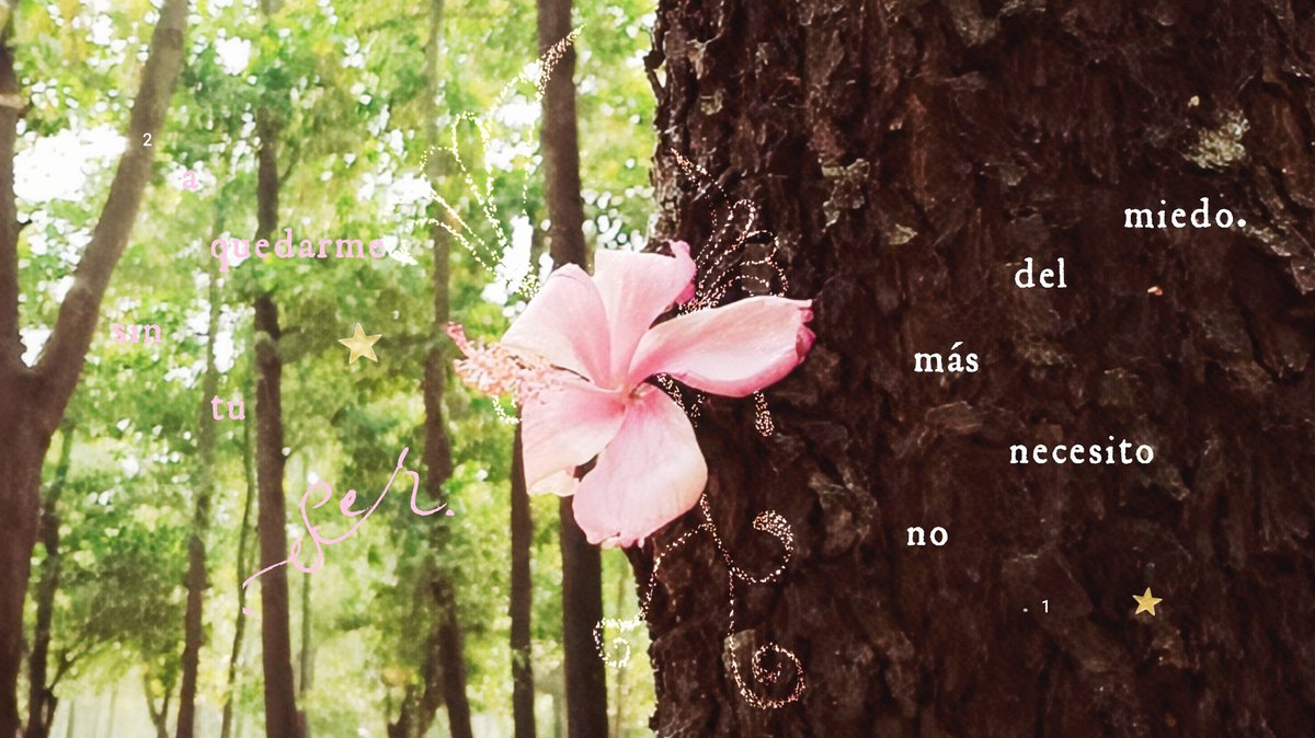 𝜗 𓋇 ৎ, tweet media