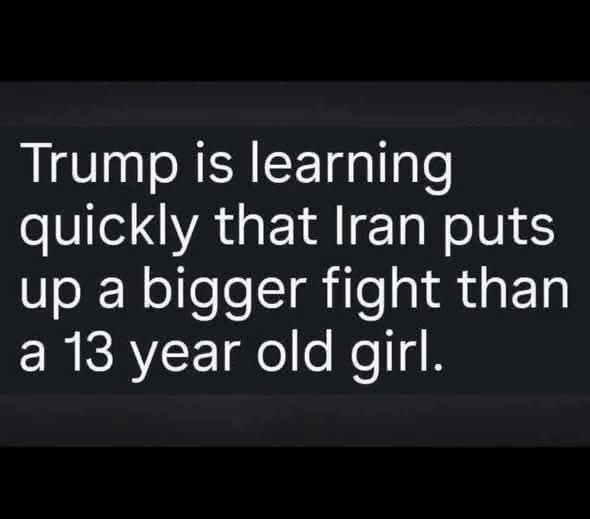 ThePatrioticBlonde🇺🇸 tweet media