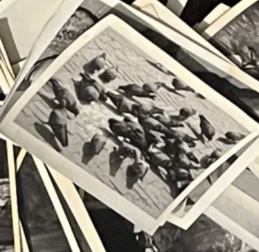 🦇 Drew 🖤 tweet media