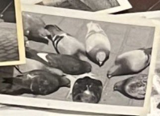 🦇 Drew 🖤 tweet media