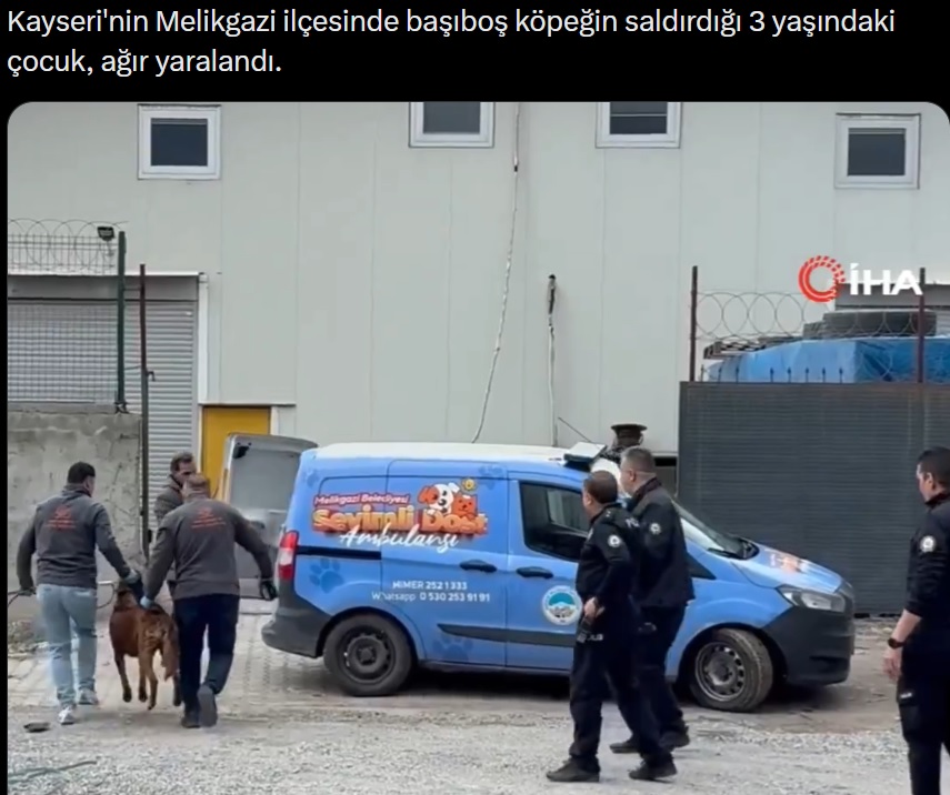 Katil itin götürüldüğü araca bak! "Sevimli Dost Ambulansı".

Çocuklarımızı parçalayan boklu itleri dost edinen bir millet olduk, denk geldiğimiz çağa bak...