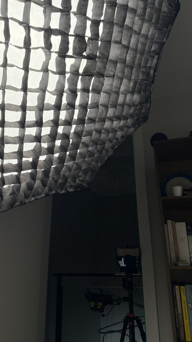 Arthur Schaefer 🧠 tweet media