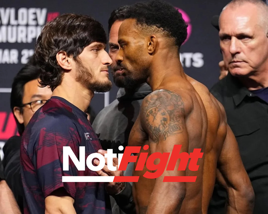 NotiFight tweet media