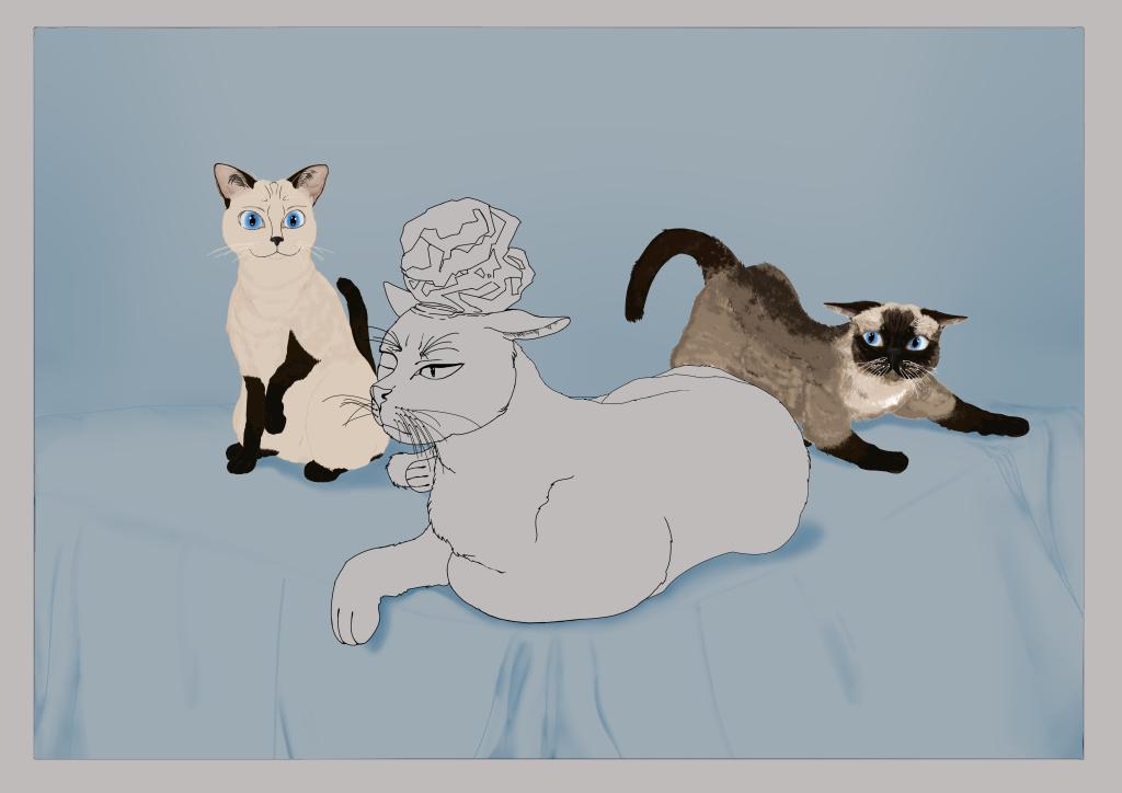 kadurnunes tweet media