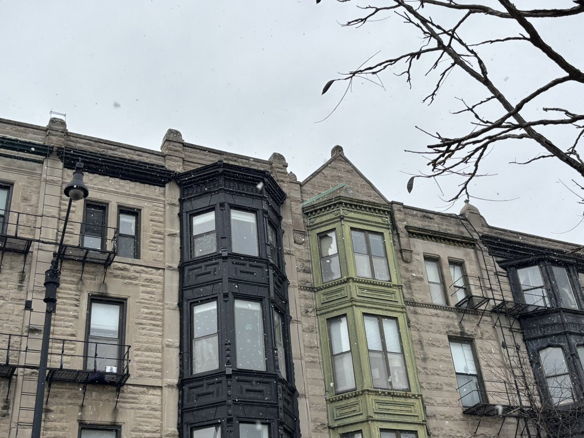 Sophia 🕳️🦢🐍 tweet media