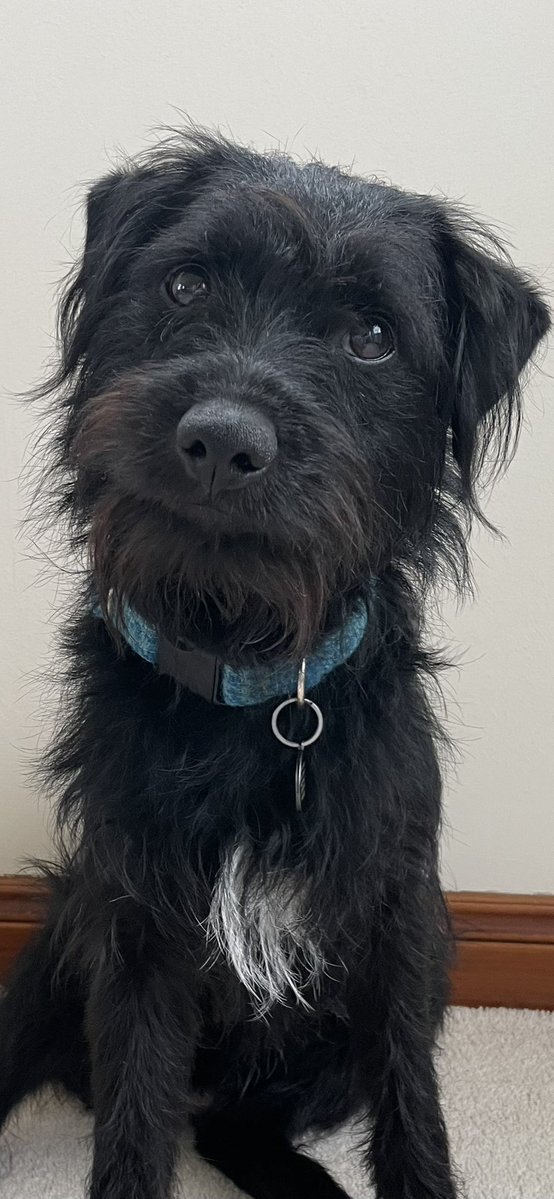 Adele and Rex (former staff to Monty🌈& Jilly🌈) tweet media