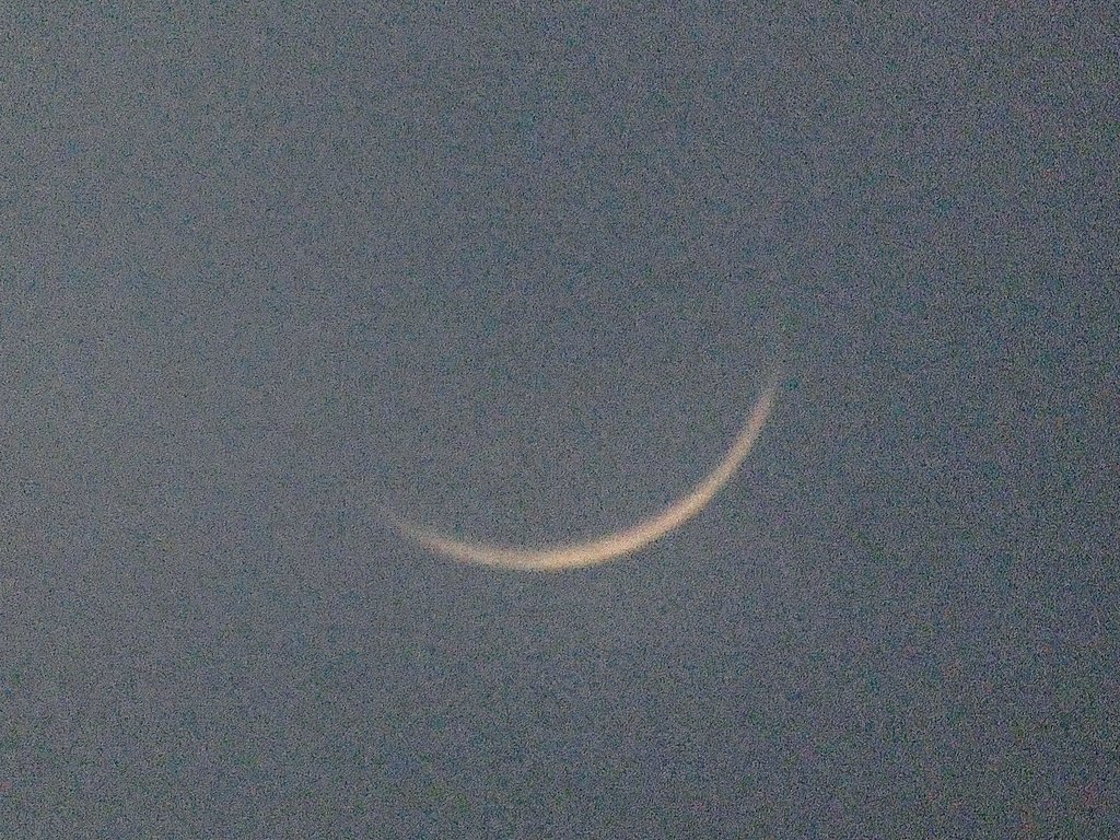 Peter Lewis tweet media