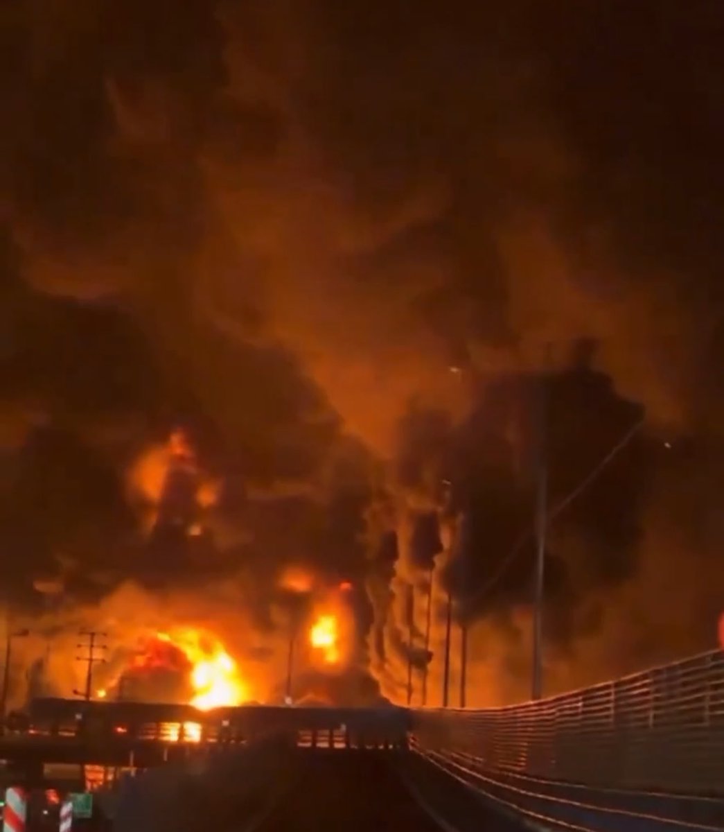 Ella Maulding tweet media