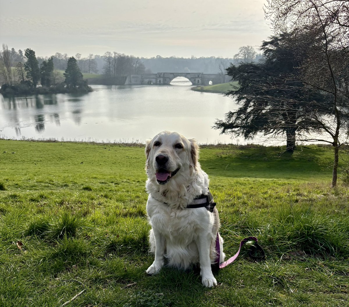 SarahLucy tweet media