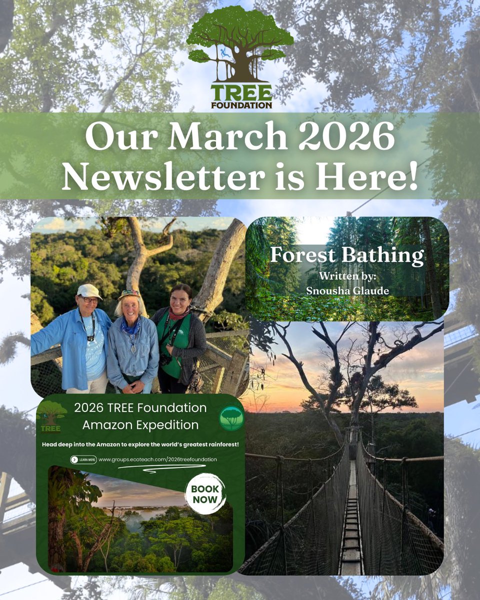 TREE Foundation tweet media