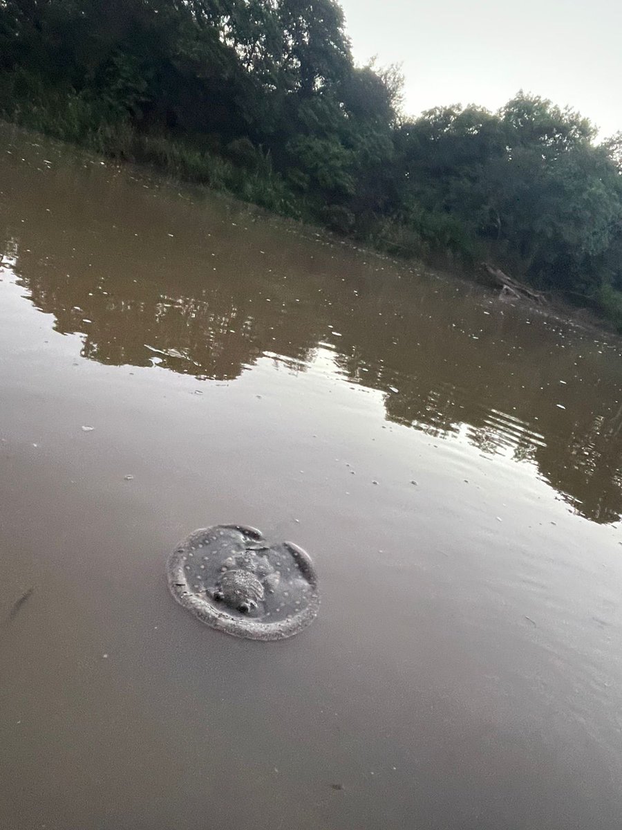 Félix David Oest tweet media