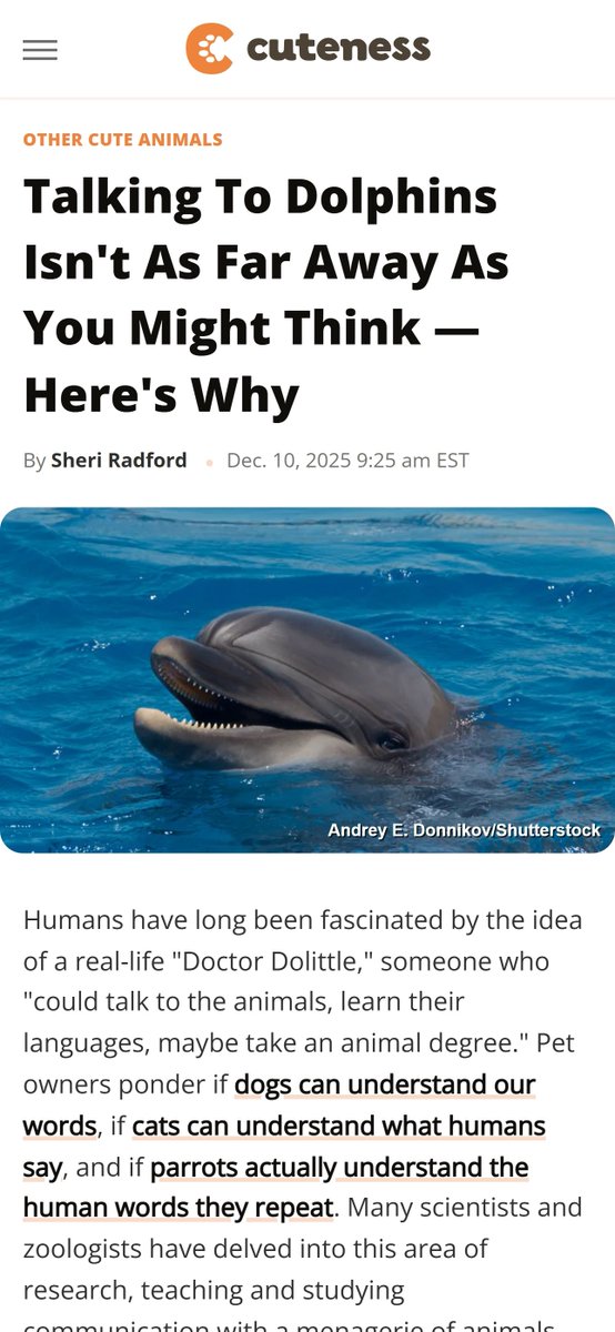 Linguistic Discovery tweet media