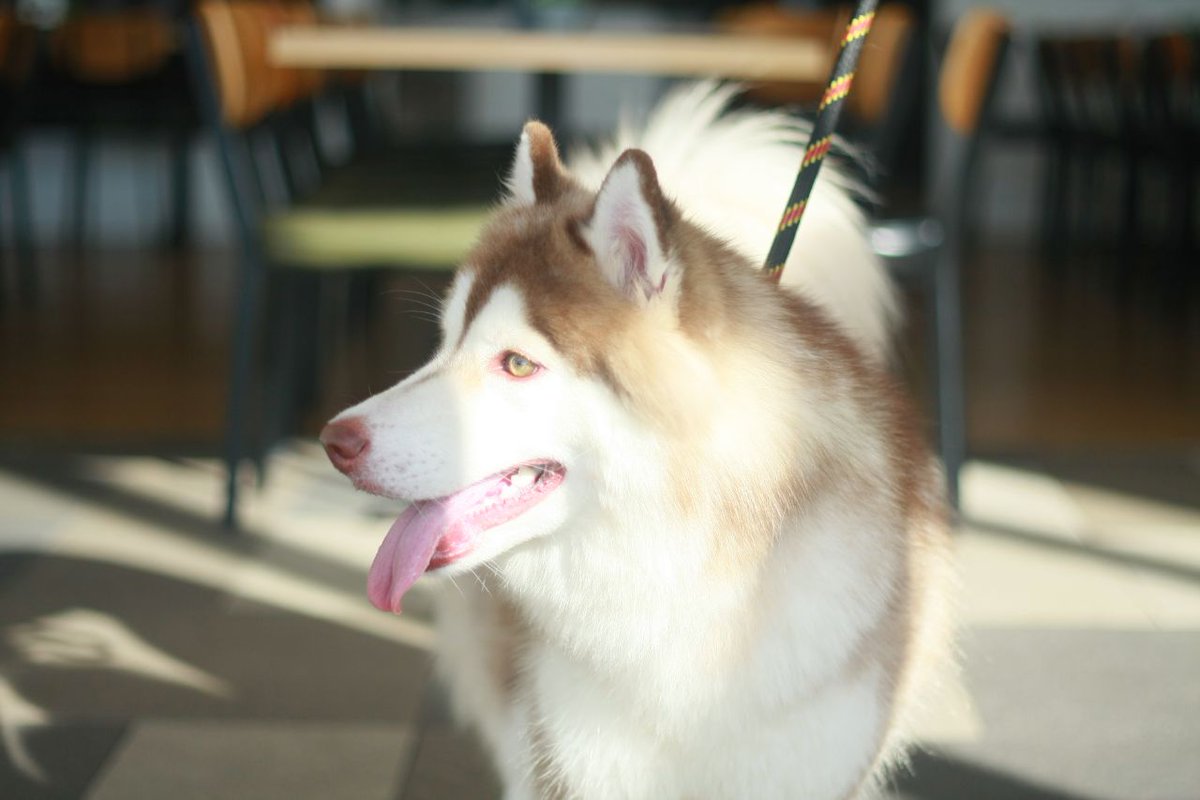 Stal Wof 🇵🇭🐺 tweet media