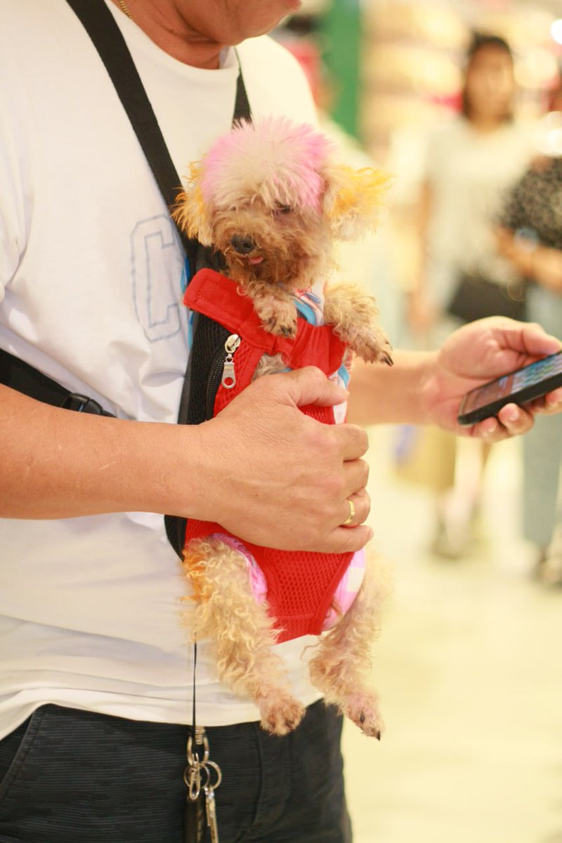 Stal Wof 🇵🇭🐺 tweet media