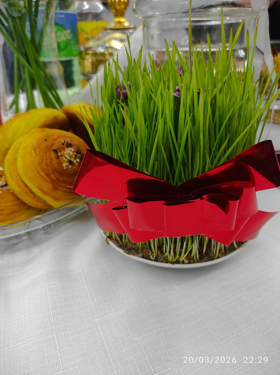MHalisoglu's tweet photo. Nevruz Türk’ün bayramıdır.
Türk milleti var olsun!
#Nevruz
#TürkMilleti
#TürkDünyası
#Turan
#Bozkurt
#TürkBirliği https://t.co/Y7qpnGcUMF