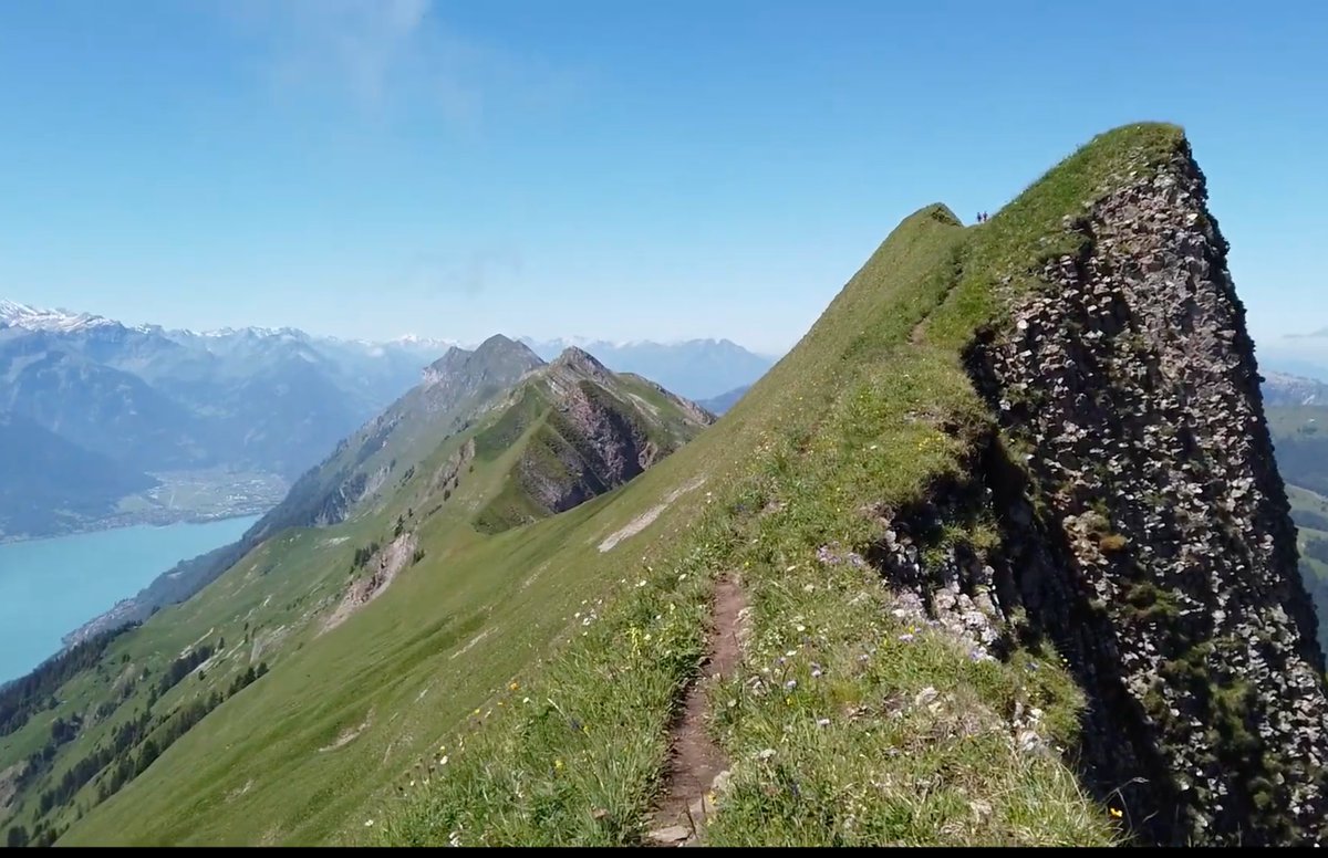 Cui Bono tweet media