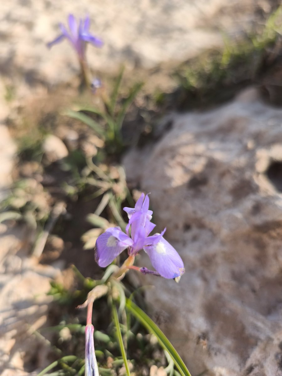 dr. Snoop Dogg tweet media